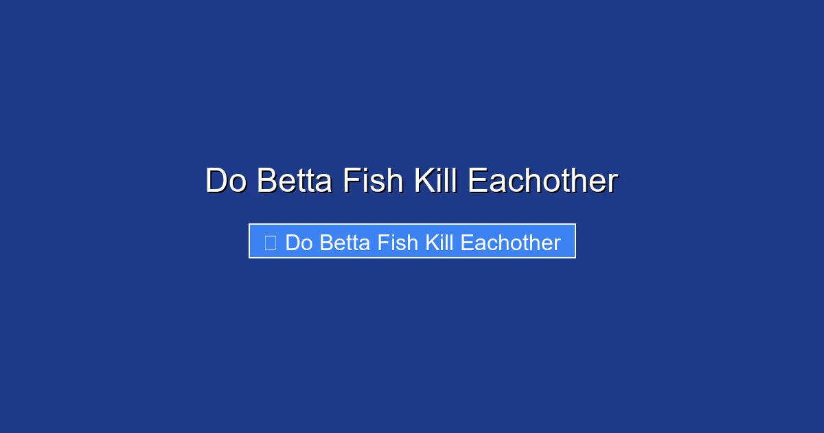 Do Betta Fish Kill Eachother