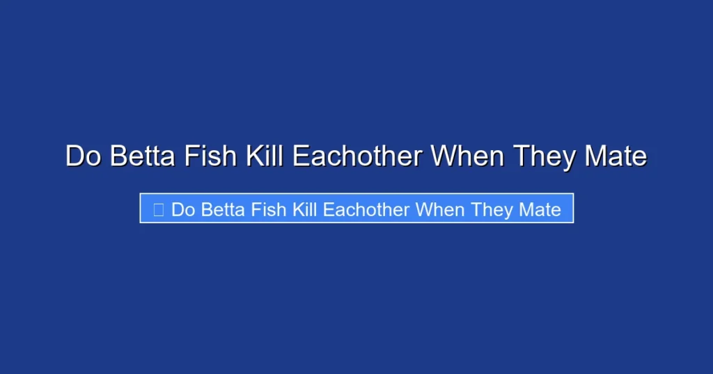 Do Betta Fish Kill Eachother When They Mate