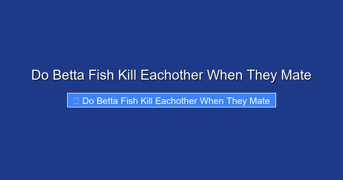 Do Betta Fish Kill Eachother When They Mate