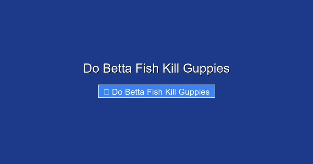 Do Betta Fish Kill Guppies