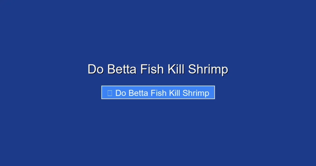 Do Betta Fish Kill Shrimp