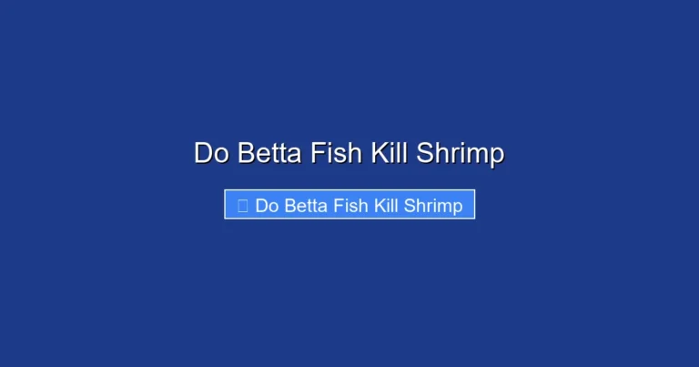 Do Betta Fish Kill Shrimp