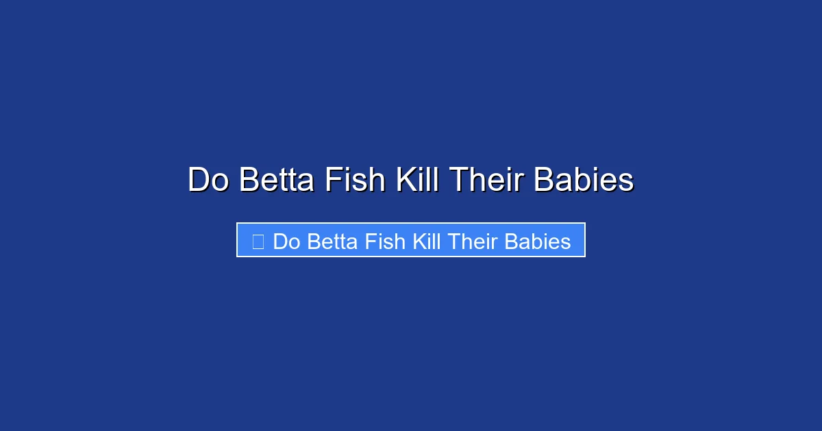 Do Betta Fish Kill Their Babies
