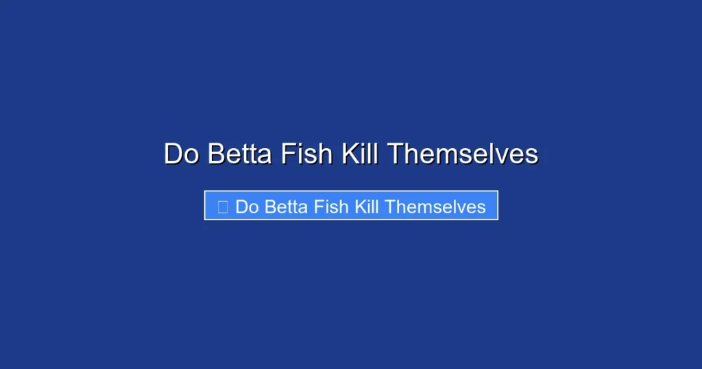 Do Betta Fish Kill Themselves