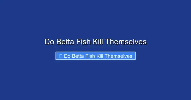 Do Betta Fish Kill Themselves
