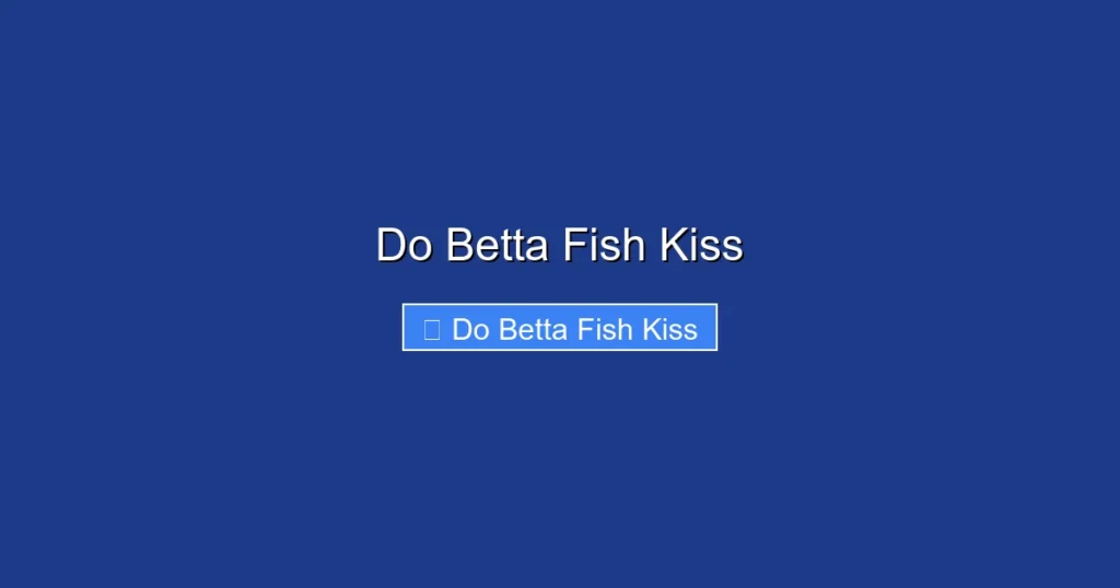 Do Betta Fish Kiss