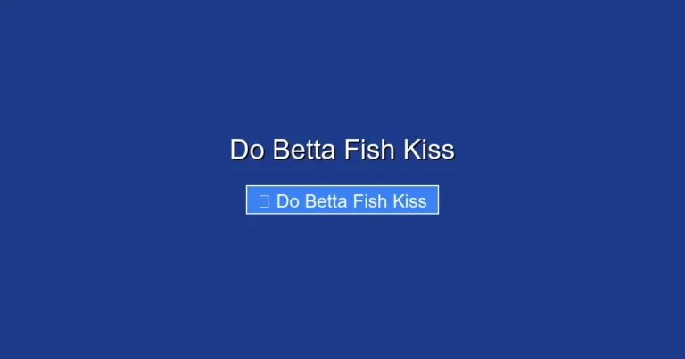 Do Betta Fish Kiss