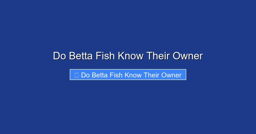 Do Betta Fish Know Their Owner