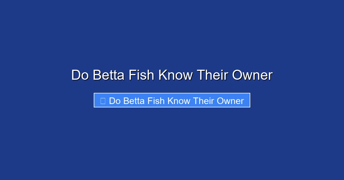 Do Betta Fish Know Their Owner