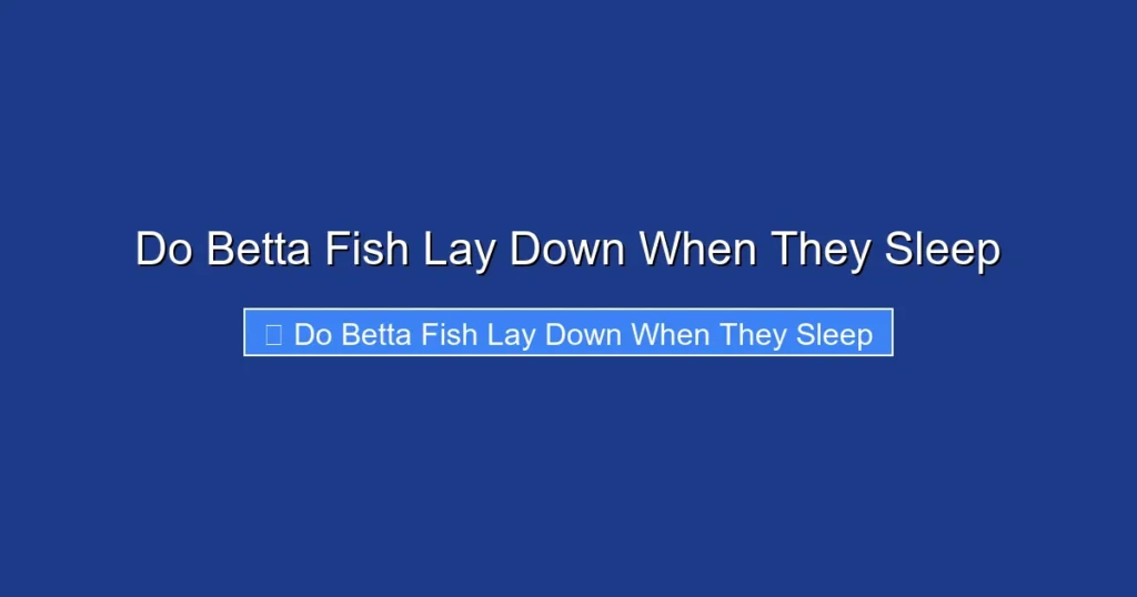 Do Betta Fish Lay Down When They Sleep