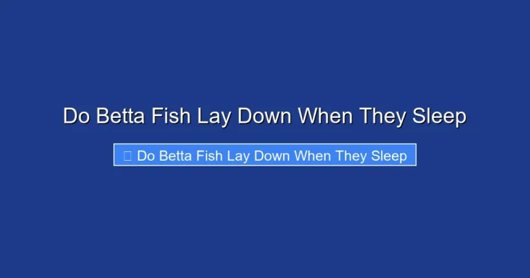 Do Betta Fish Lay Down When They Sleep