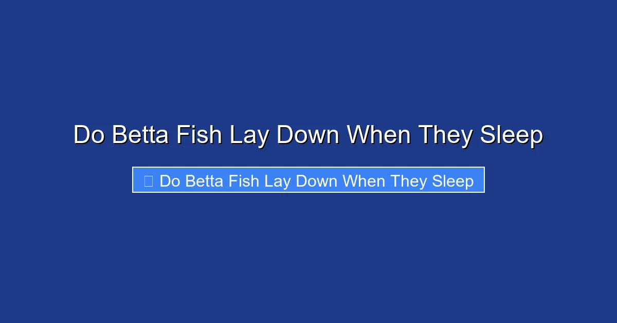 Do Betta Fish Lay Down When They Sleep