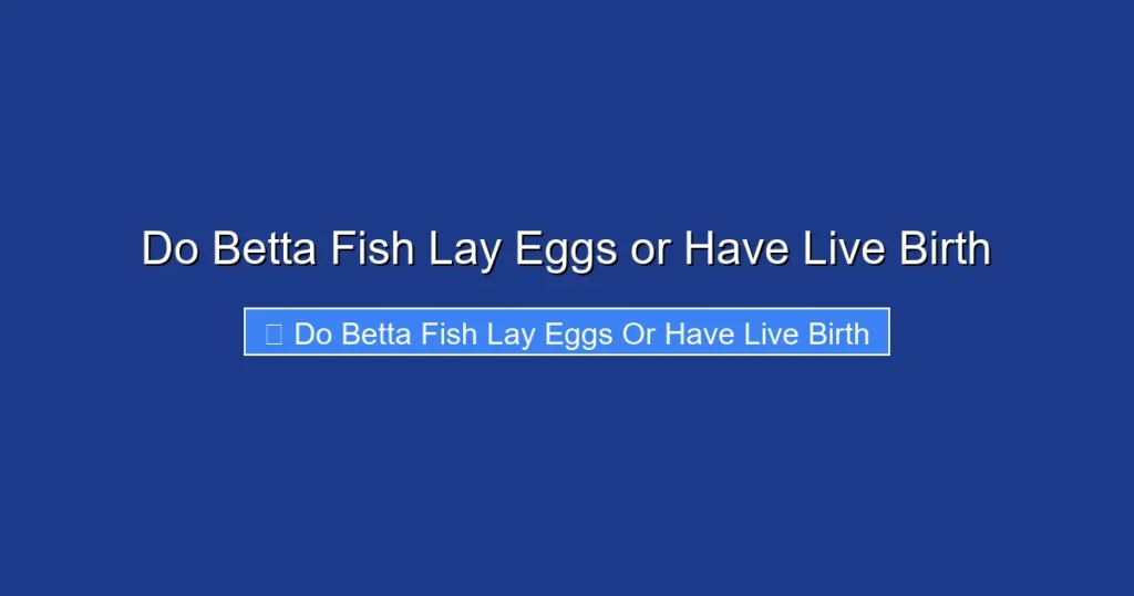 Do Betta Fish Lay Eggs or Have Live Birth