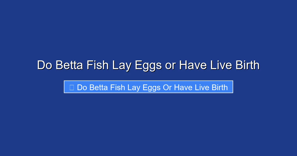 Do Betta Fish Lay Eggs or Have Live Birth