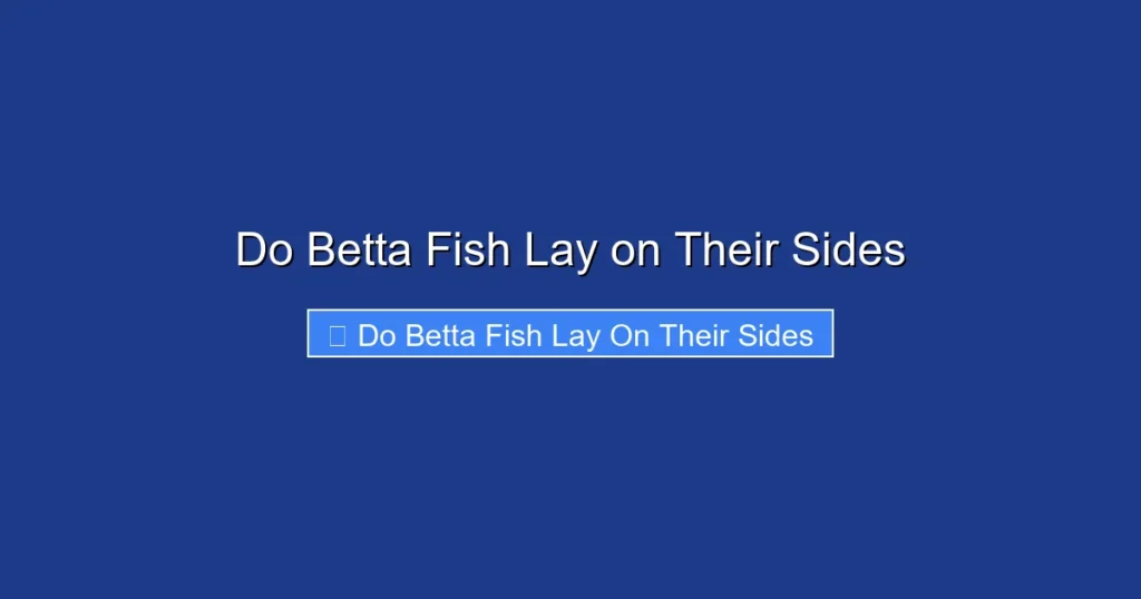 Do Betta Fish Lay on Their Sides