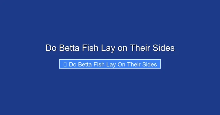 Do Betta Fish Lay on Their Sides