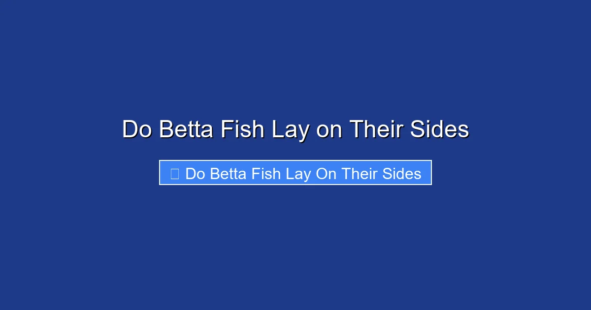 Do Betta Fish Lay on Their Sides