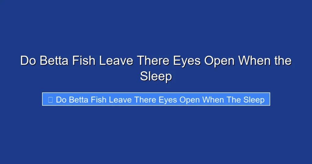 Do Betta Fish Leave There Eyes Open When the Sleep