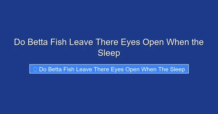 Do Betta Fish Leave There Eyes Open When the Sleep