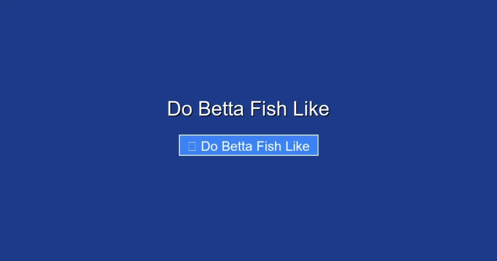 Do Betta Fish Like