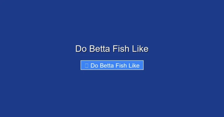 Do Betta Fish Like