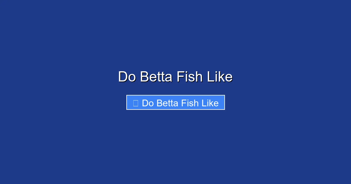 Do Betta Fish Like