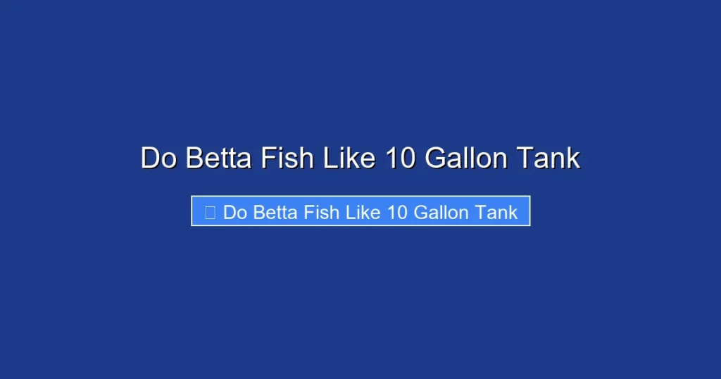 Do Betta Fish Like 10 Gallon Tank