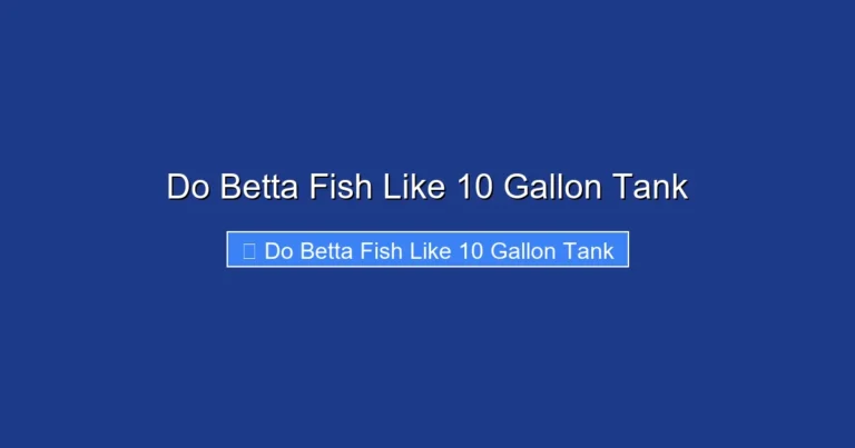 Do Betta Fish Like 10 Gallon Tank