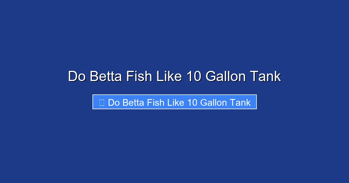 Do Betta Fish Like 10 Gallon Tank