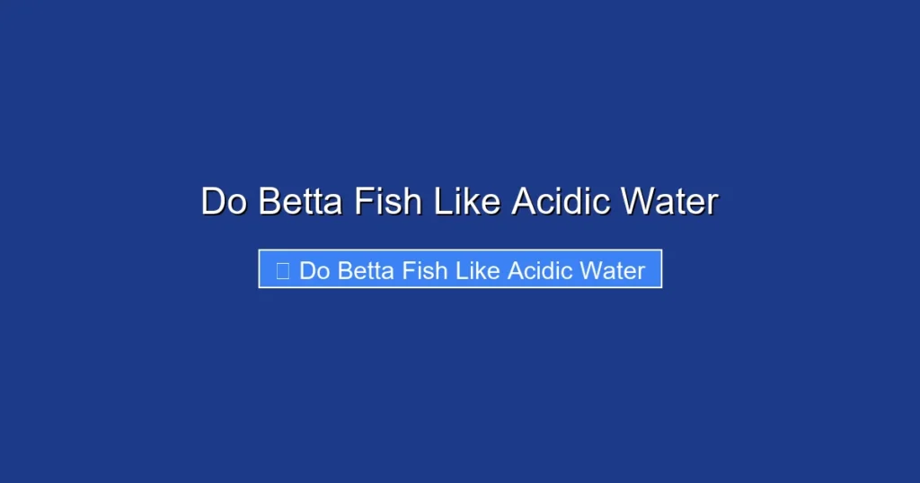 Do Betta Fish Like Acidic Water