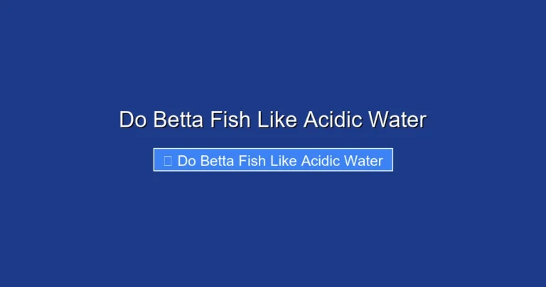 Do Betta Fish Like Acidic Water