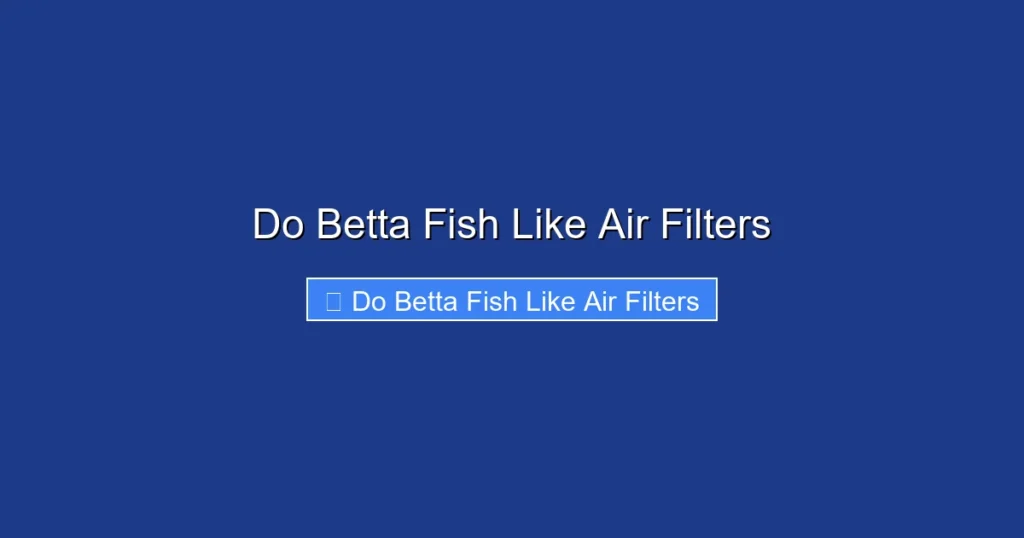 Do Betta Fish Like Air Filters