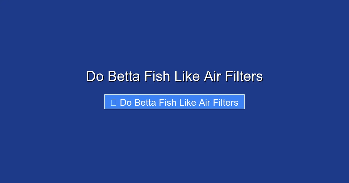 Do Betta Fish Like Air Filters