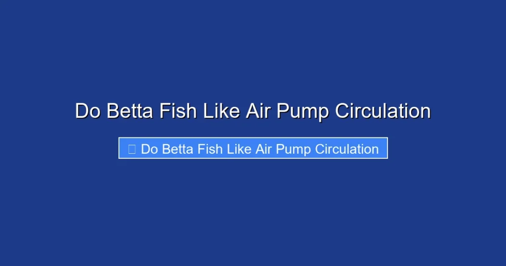 Do Betta Fish Like Air Pump Circulation