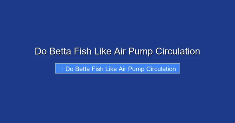 Do Betta Fish Like Air Pump Circulation