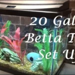Is 20 Gal H Fish Tank to Deep for Betta