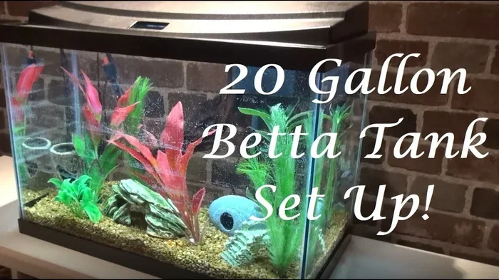 Is 20 Gal H Fish Tank to Deep for Betta