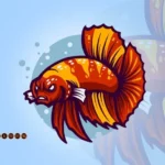 How to Make Betta Fish Mad