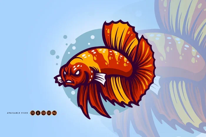 How to Make Betta Fish Mad