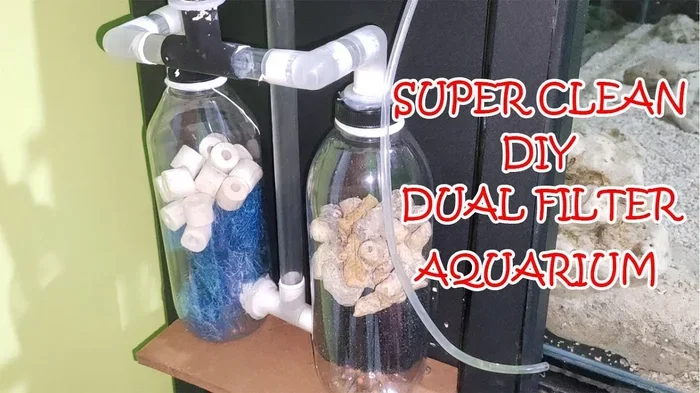 Is It Better to Have 2 Fish Filters