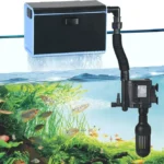 Is Higher Ghp Fish Filter Better