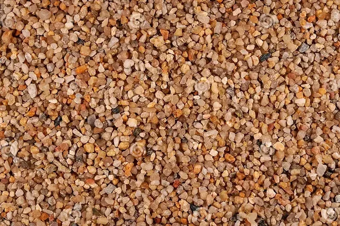 Is Sand Better Than Gravel in Fish Tanks