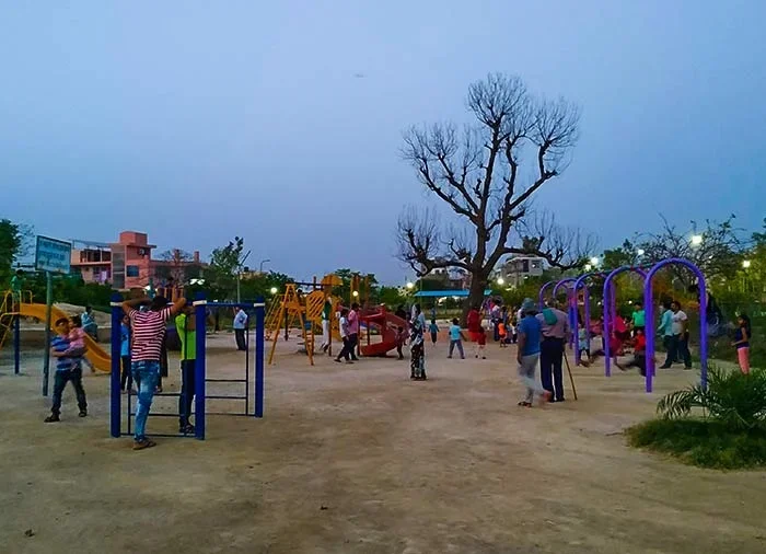 How Much to Feed Baby Female Betta Fish