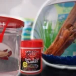 How to Raise a Baby Betta Fish