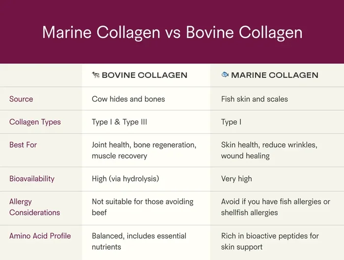 Is Beef or Fish Collagen Better
