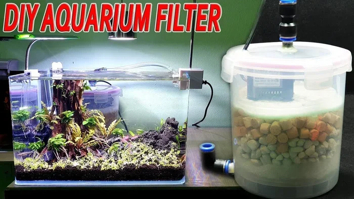 How Often to Change Cabin Filter in Betta Fish Aquarium