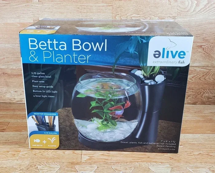 How to Transfer Betta Fish from Bowl to Tank