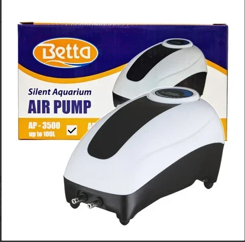 Does Betta Fish Need Air Pump