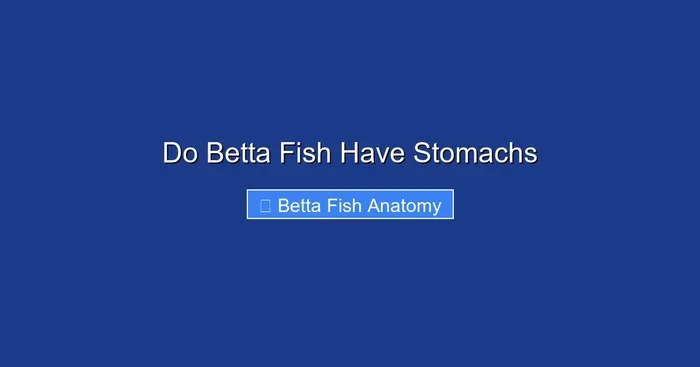 Do Betta Fish Have Stomachs