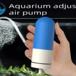 Should Betta Fish Have Air Pump